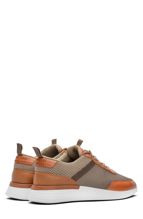 Wolf & Shepherd Crossover™ Victory Sneaker In Brown