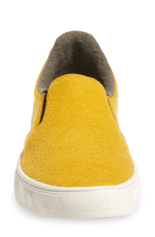 Yy Nation Nimbo Wool Blend Loafer In Multi