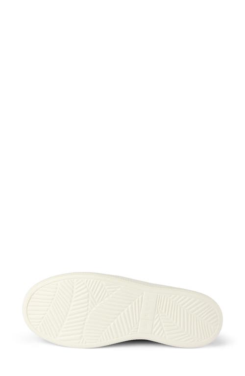 Reef Neptune Knit Sneaker