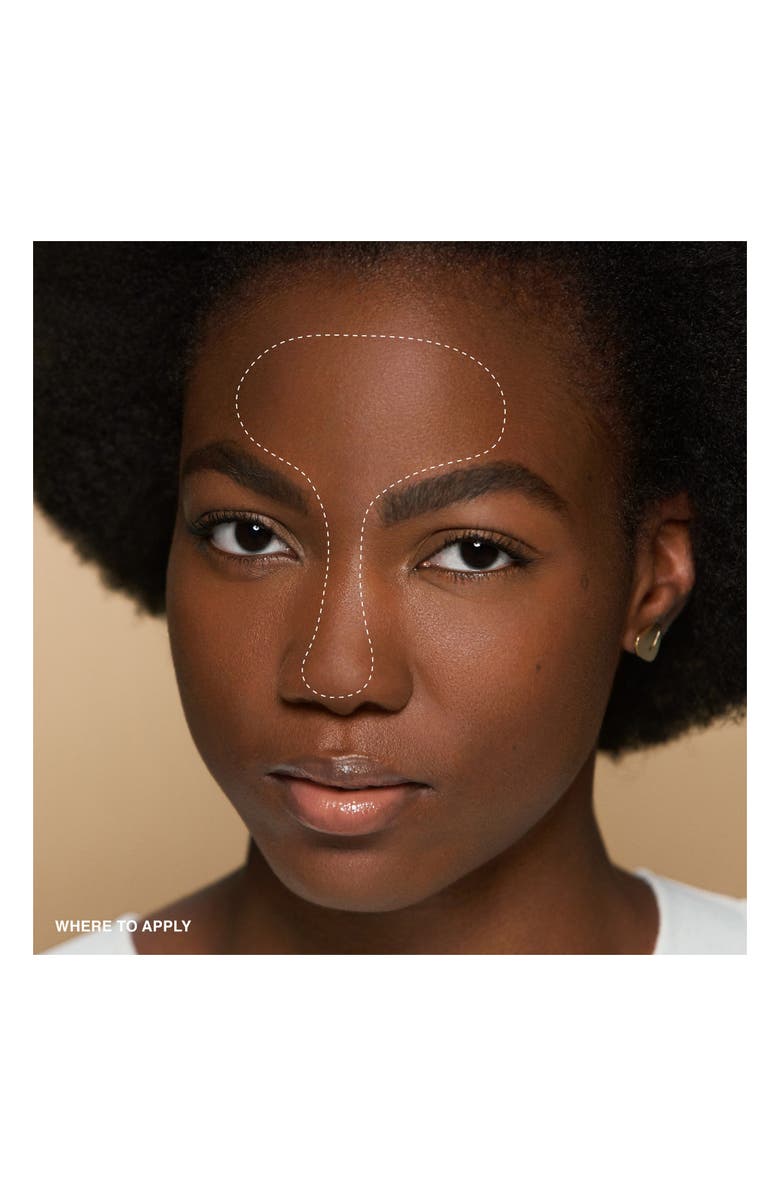 Bobbi Brown Sheer Finish Loose Powder, Alternate, color, New Warm Chestnut