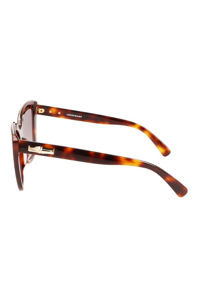 Roseau 53mm Gradient Rectangle Sunglasses, Alternate, color, HAVANA
