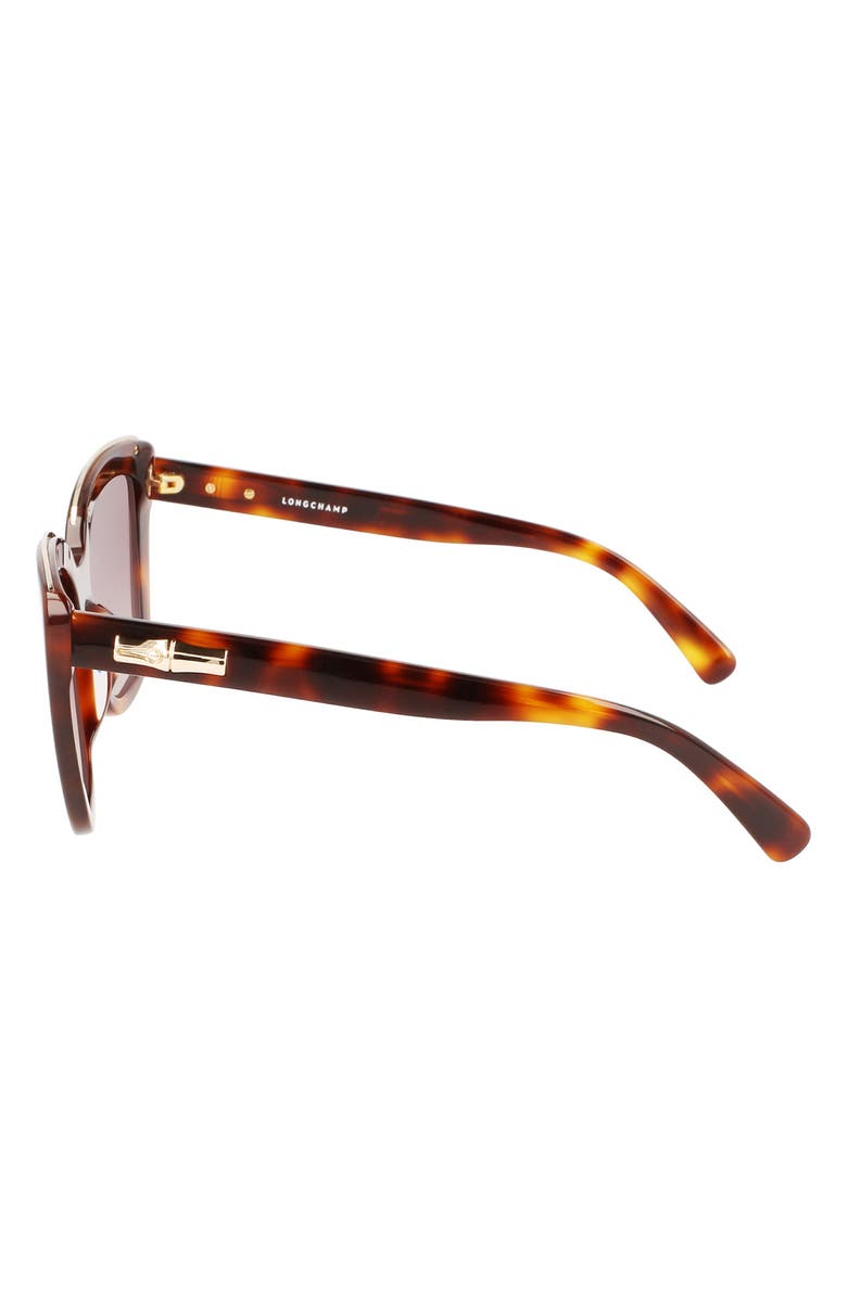 Longchamp Roseau 53mm Gradient Rectangle Sunglasses, Alternate, color, Havana