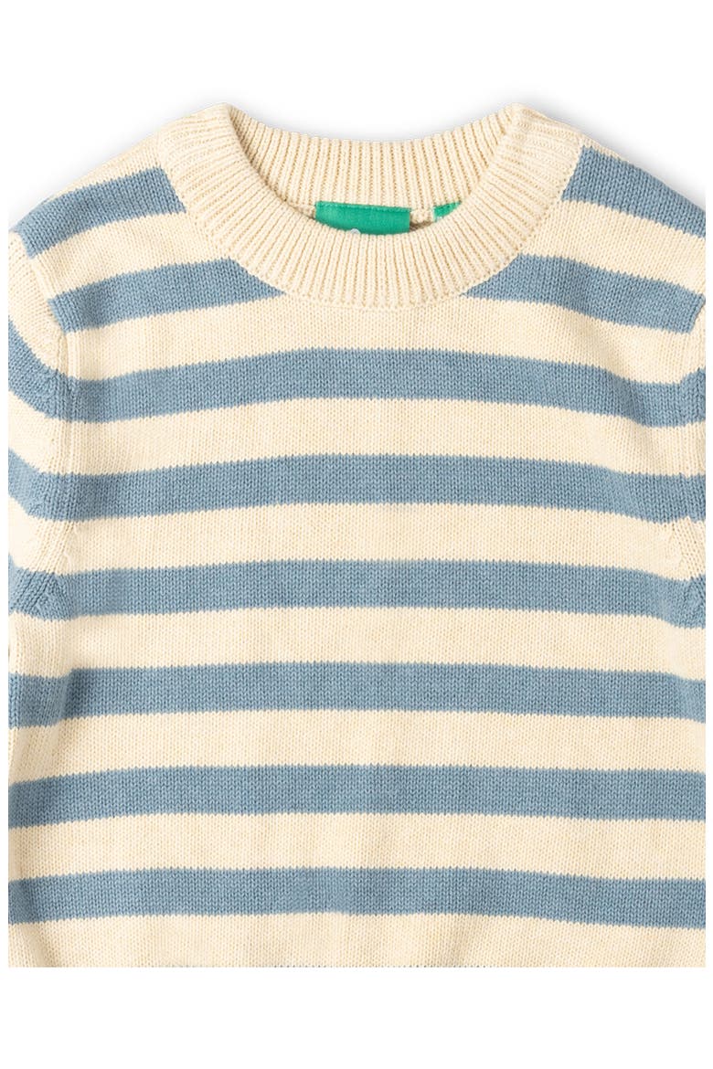 Kids' Stripe Organic Cotton Sweater, Alternate, color, BLUE