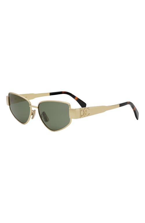 Celine Triomphe 55mm Cat Eye Sunglasses In Multi