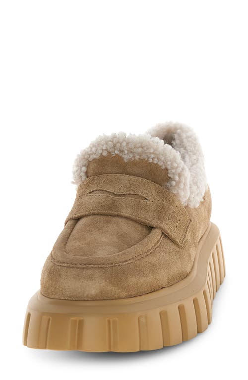 Voile Blanche Grenelle Genuine Shearling Platform Loafer In Brown