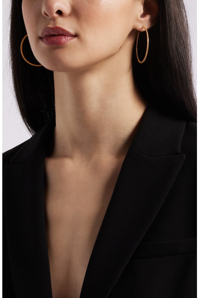 Pavé Cubic Zirconia Hoop Earrings, Alternate, color, CLEAR- GOLD