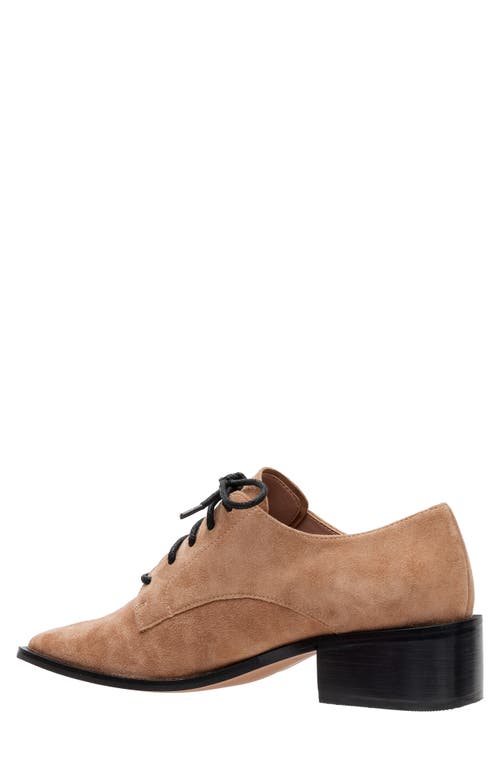 Linea Paolo Moritz Lace-up Pump In Whiskey