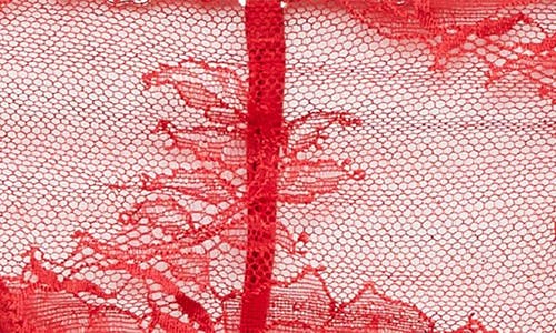 Fleur Du Mal Crystal Bouquet Lace V-string In Rouge