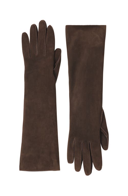 Lanvin Long Slim Suede Gloves In Brown