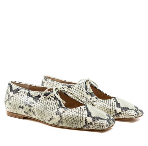 Andrea Gomez Amelia Leather Ballerina In Multi