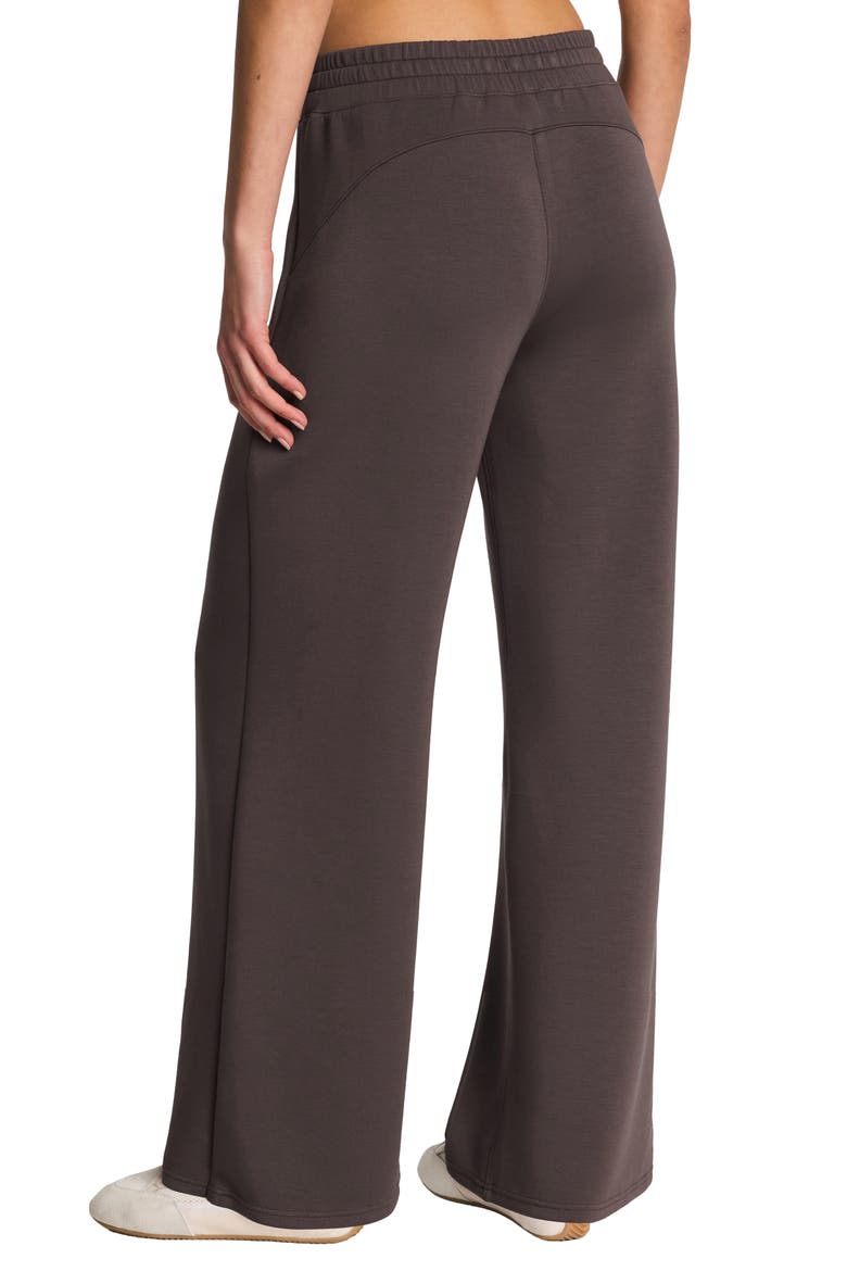 AirEssentials® Pull-On Wide Leg Pants, Alternate, color, DARK CACAO