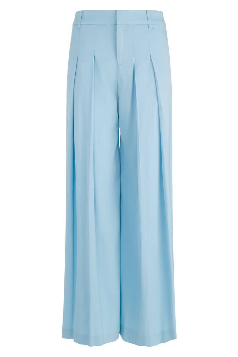 Blaire Pleated Wide Leg Pants, Alternate, color, CAROLINA BLUE