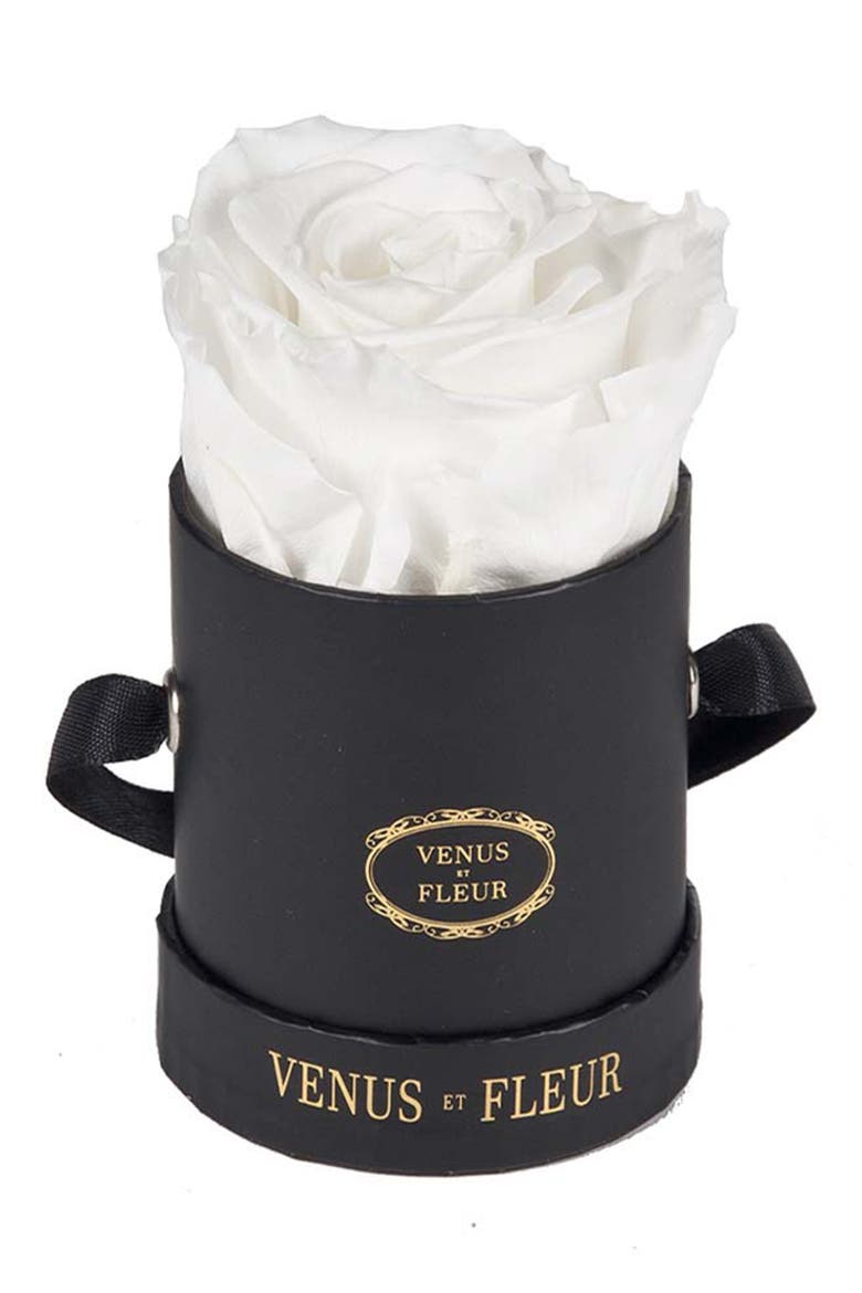 Classic Le Mini™ Round Eternity Rose, Main, color, PURE WHITE