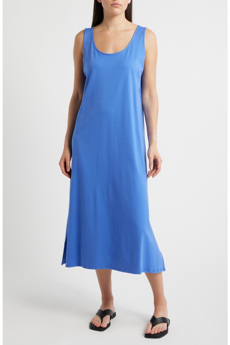 Scoop Neck Nightgown, Main, color, BLUE STAR
