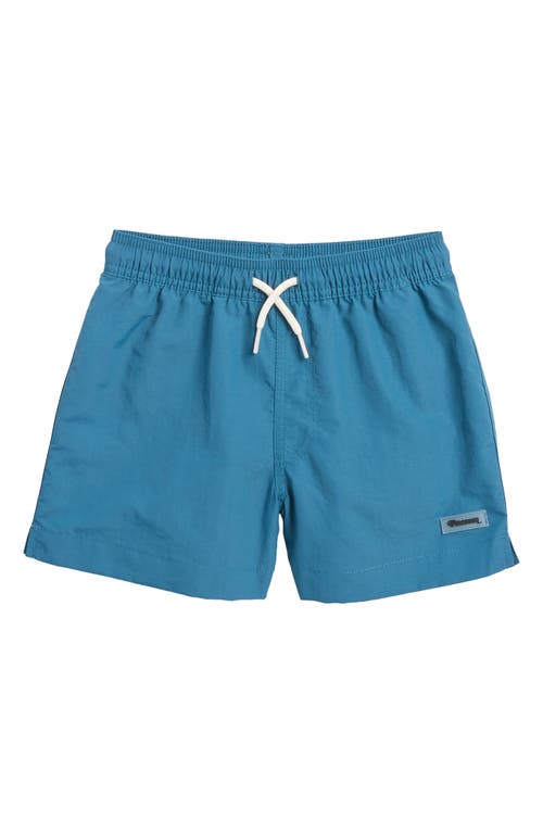 Pacsun Kids' Board Shorts In Green/sage