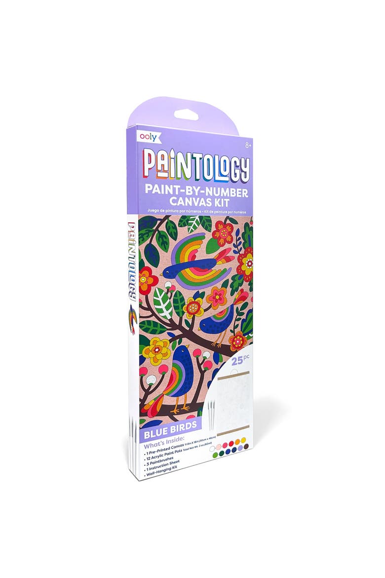 Paintology Paint By Number Birds Canvas Kit, Alternate, color, Multicolored
