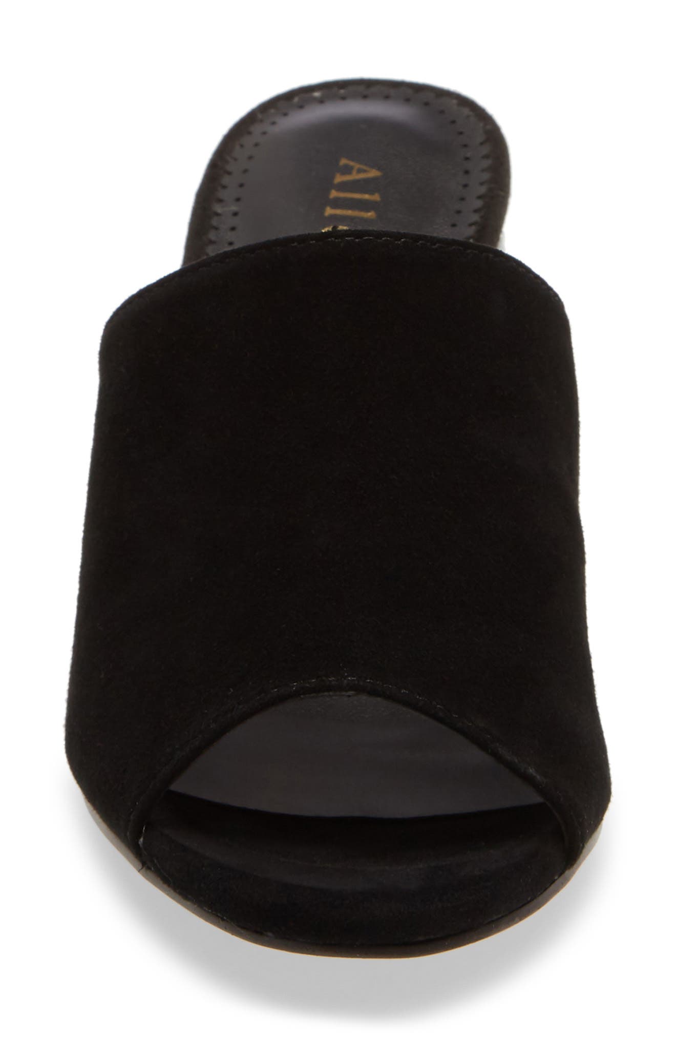 Allegra James Cindy Slide Sandal, Alternate, color, 