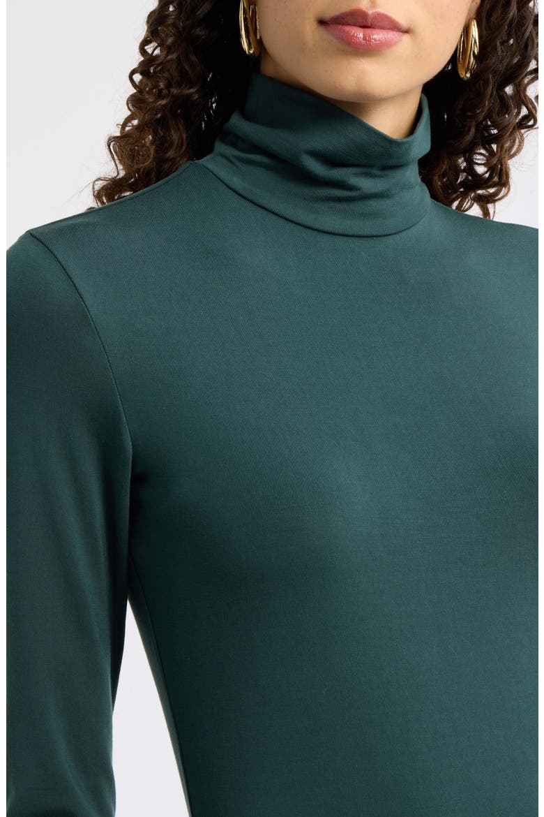Turtleneck Knit Top, Alternate, color, GREEN GABLES