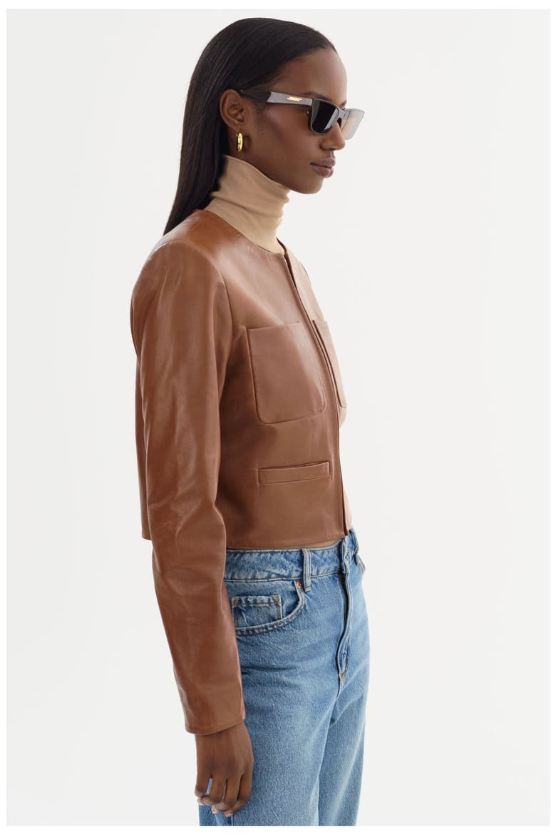 LINETTE | Leather Jacket, Alternate, color, Luggage