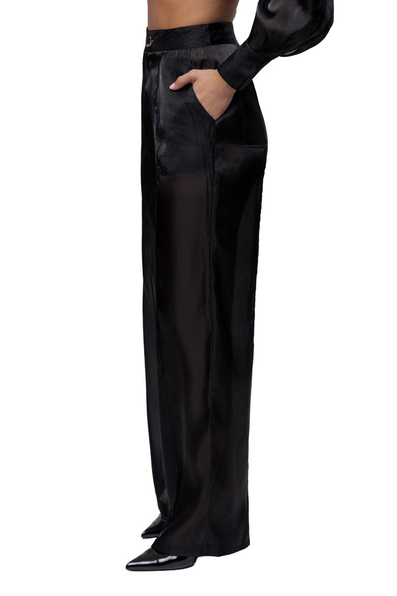 Resort Glow Organza Pants, Alternate, color, Black