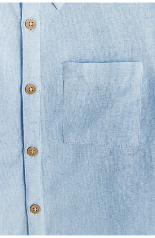 Babycottons Celebration Shirt In Pastel Blue