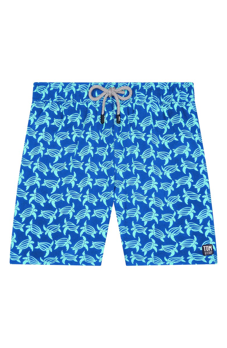 Tom & Teddy Turtle Print Swim Trunks, Alternate, color, Blue And Ice Green