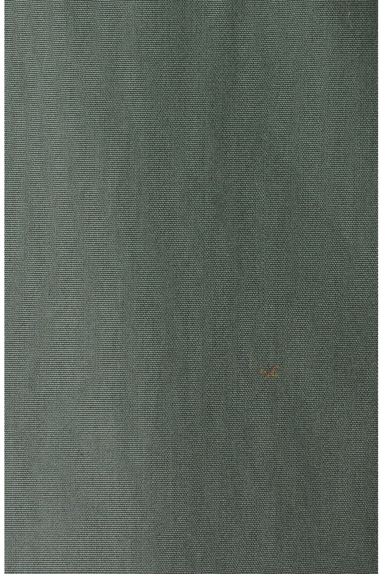 Casia Double Twist Cotton Poplin Shirt, Alternate, color, GREEN