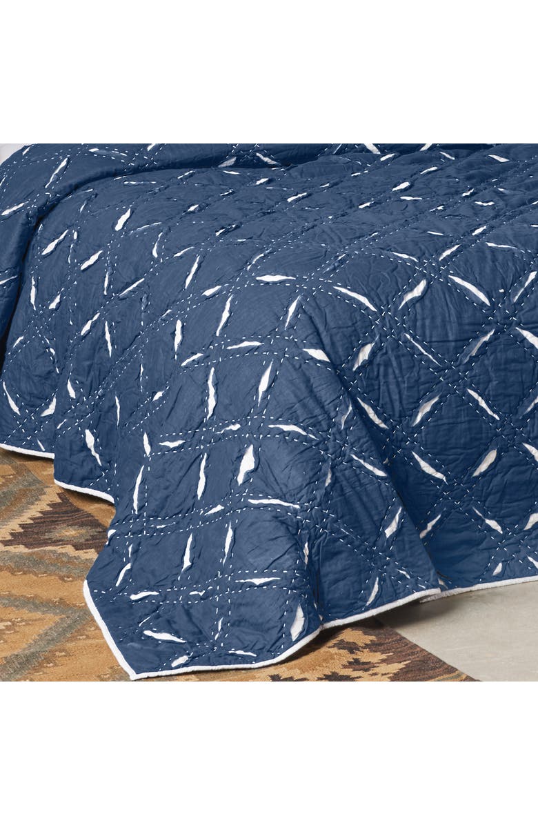 carol & frank Parker Quilt, Alternate, color, Blue