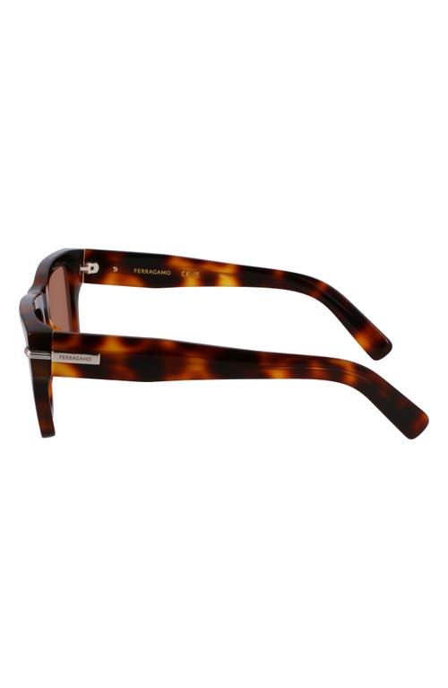 Ferragamo Prisma 53mm Modified Rectangular Sunglasses In Tortoise