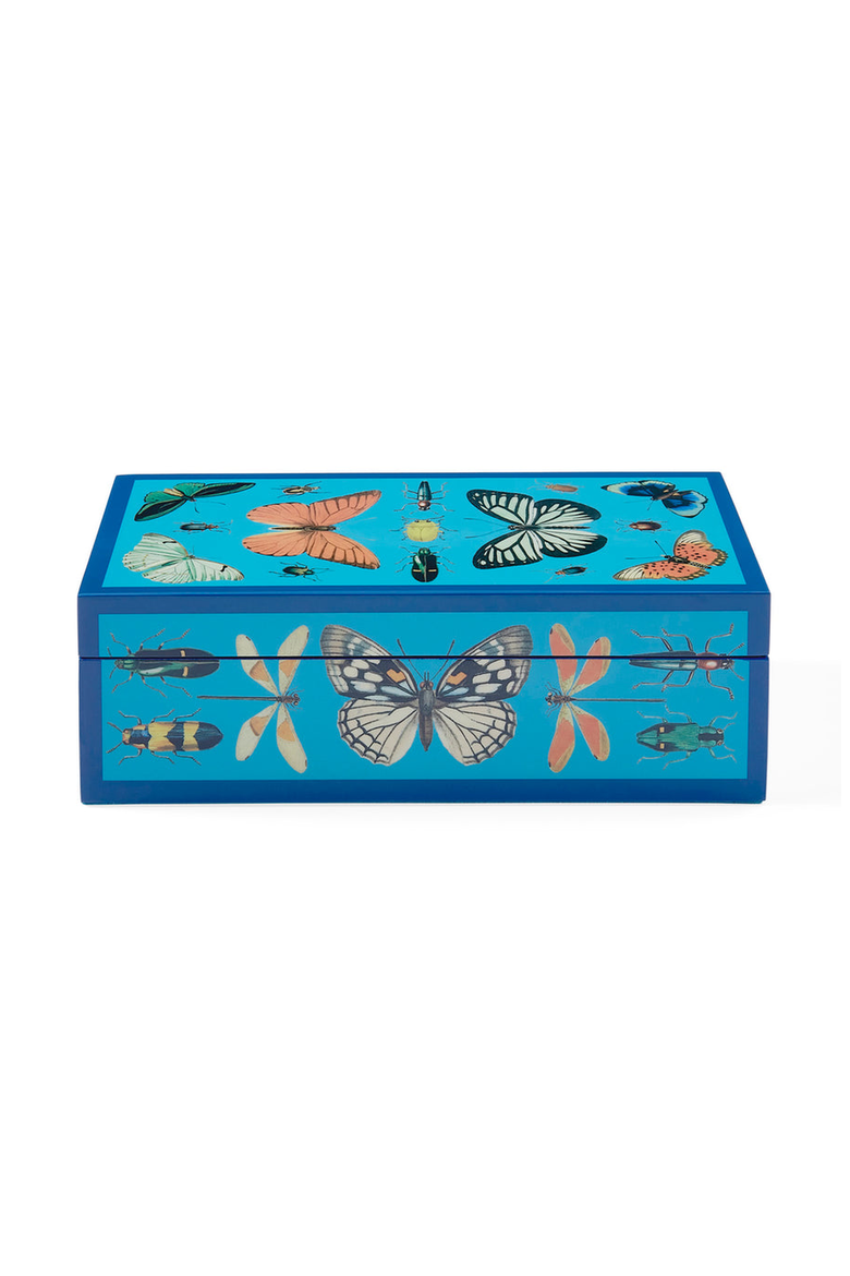 Botanist Lacquer Box, Main, color, Blue