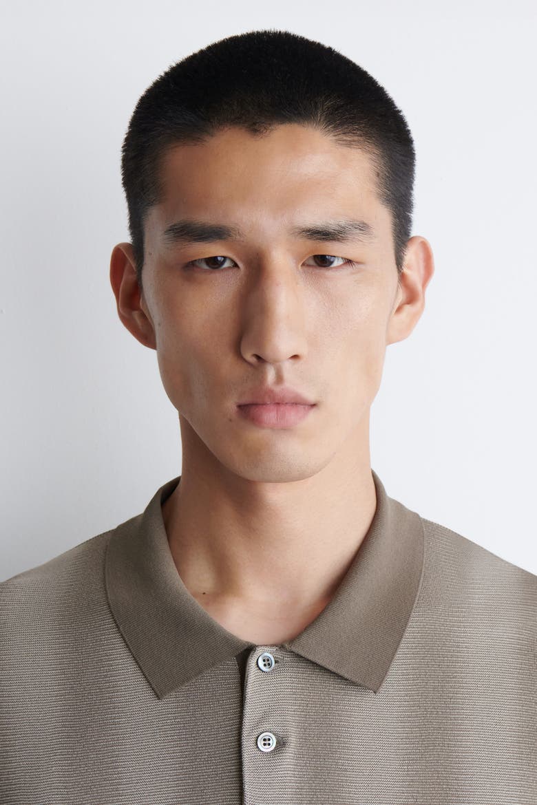 Diffused-Stripe Knit Polo Shirt, Alternate, color, MOLE / STRIPED