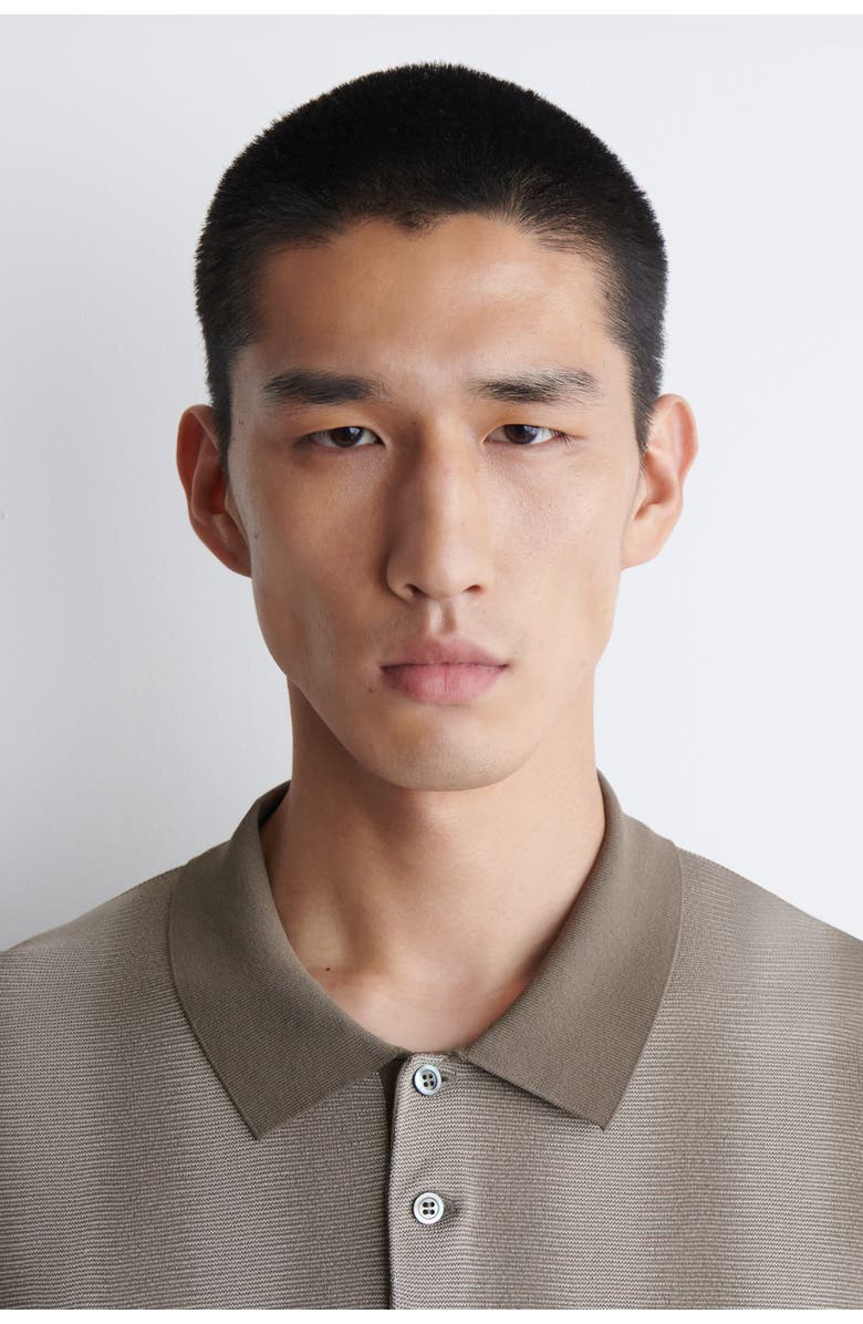 COS Diffused-Stripe Knit Polo Shirt, Alternate, color, Mole / Striped