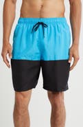 Nike Volley Swim Trunks