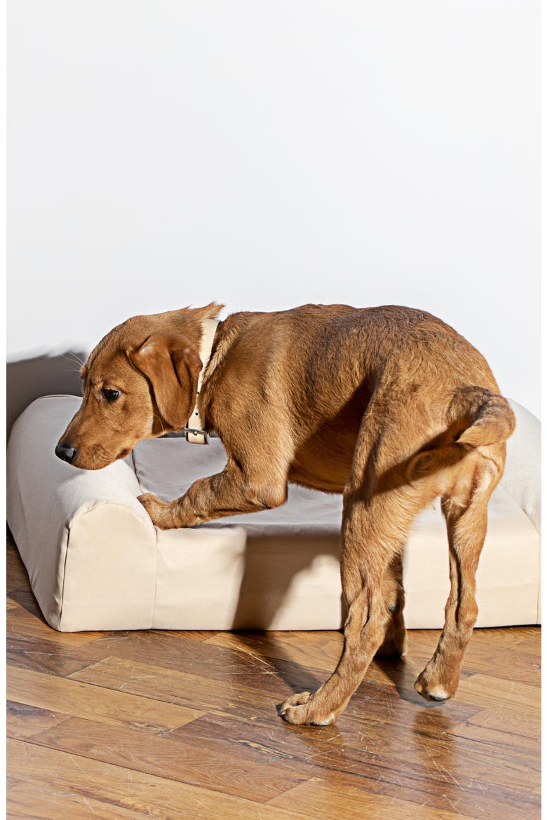 Dog Bed & Cover, Alternate, color, TAN