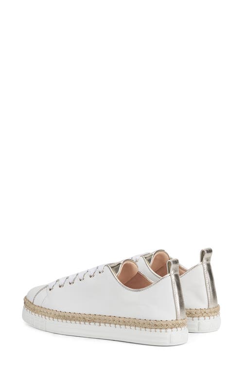 Agl Attilio Giusti Leombruni Agl Neive Sneaker In White-sandy
