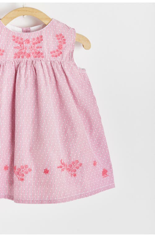 Shop Babycottons Turin Dress In Red