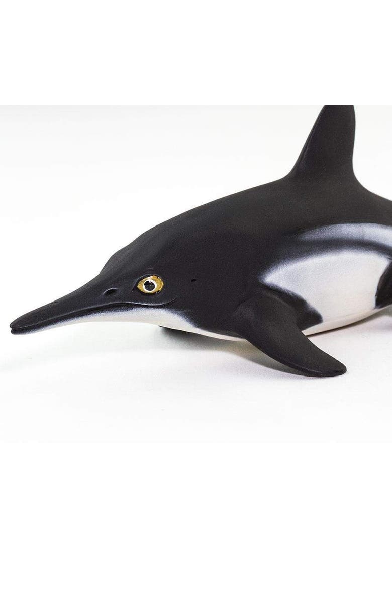 Safari Ltd. Ichthyosaurus Kids Prehistoric/Dinosaur Toy Figure, Alternate, color, NO COLOR