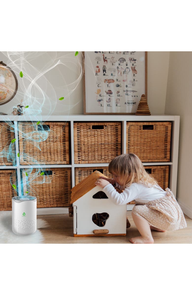 PURSONIC Air Purifier with 6-Pack Premium Essential Oils Collection, Alternate, color, Pure