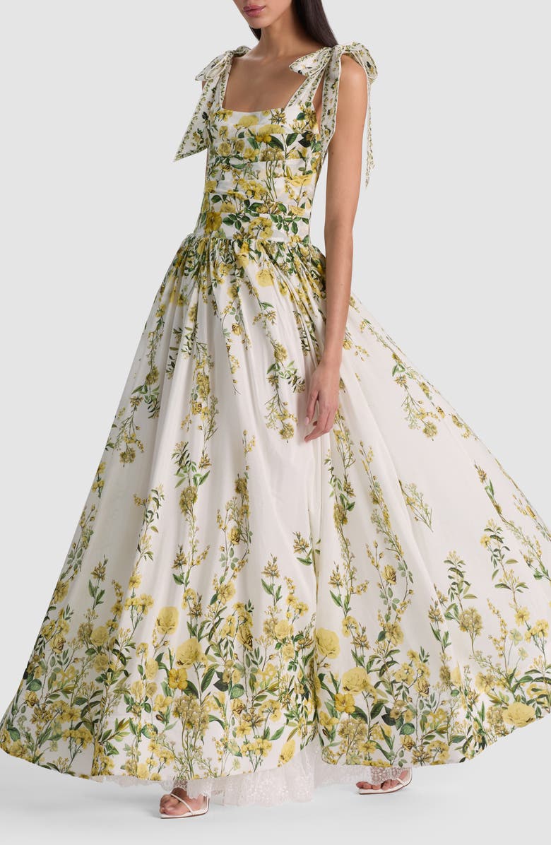 Alice + Olivia Haven Cotton & Silk Fit & Flare Maxi Dress, Alternate, color, Fresh Air Butter