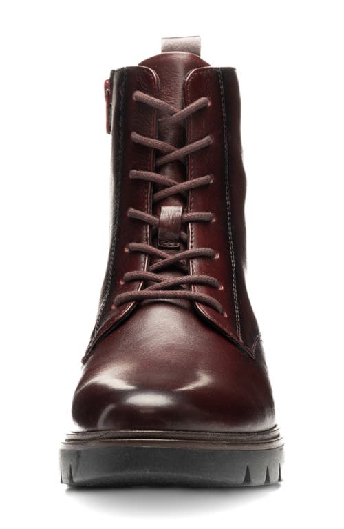 Ara Chatham Lace-up Boot In Animal Print