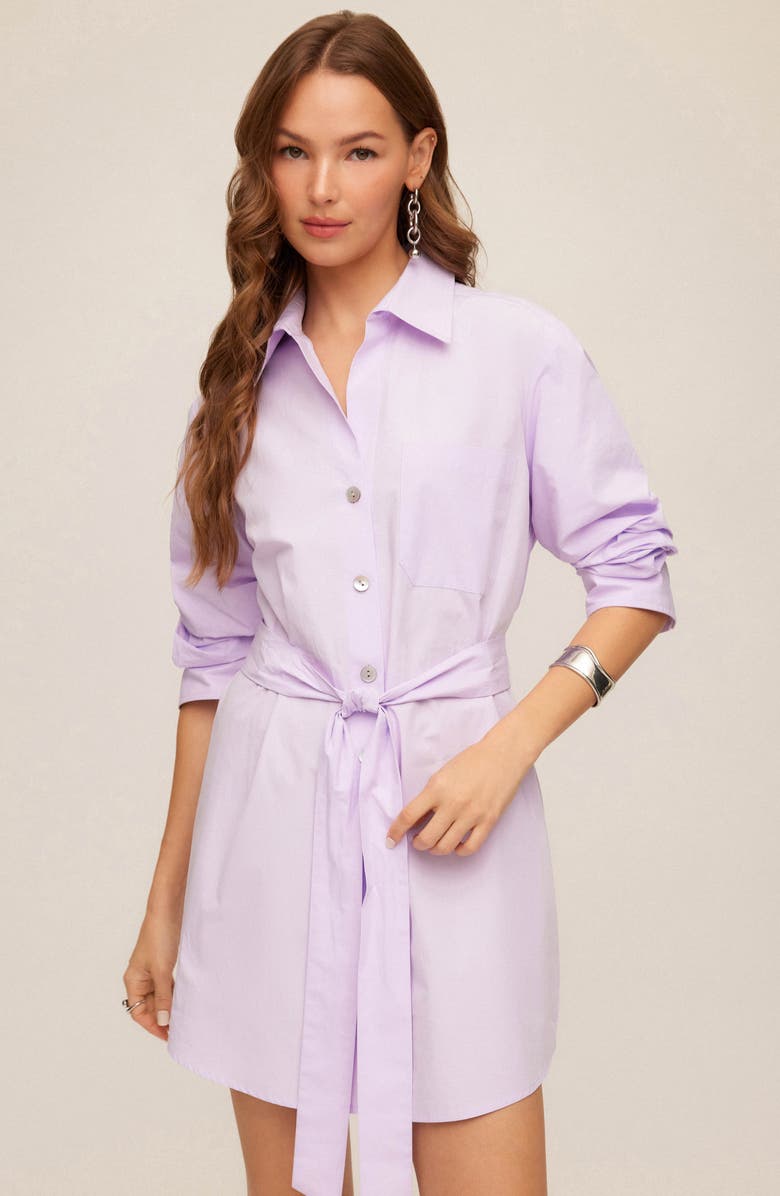 FIFTEEN TWENTY Tatum Long Sleeve Tie Waist Cotton Shirtdress, Alternate, color, 