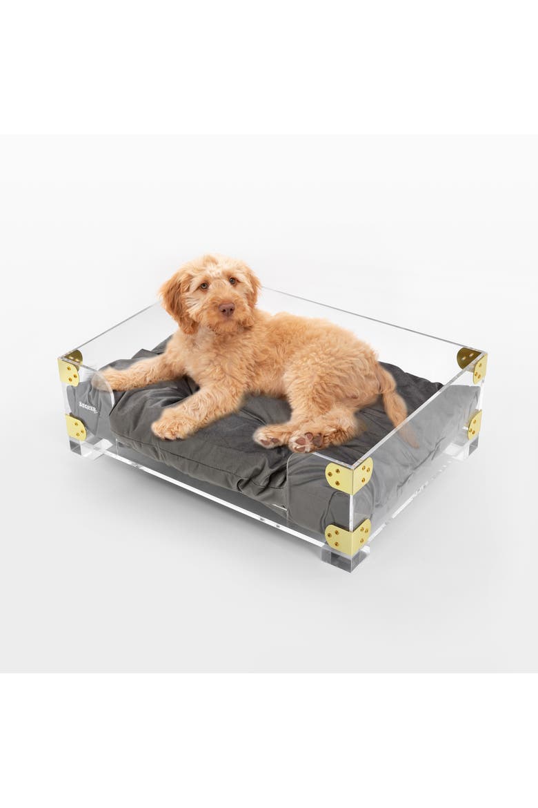Haines 21.5" x 15.25" Small/Medium Modern Lucite Velvet Pet Bed with Washable Cushion, Main, color, Dark Gray/Clear/Brass Gold
