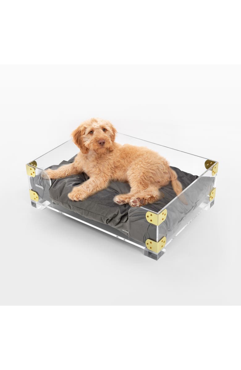 The Licker Store Haines 21.5" x 15.25" Small/Medium Modern Lucite Velvet Pet Bed with Washable Cushion, Main, color, Dark Gray/Clear/Brass Gold