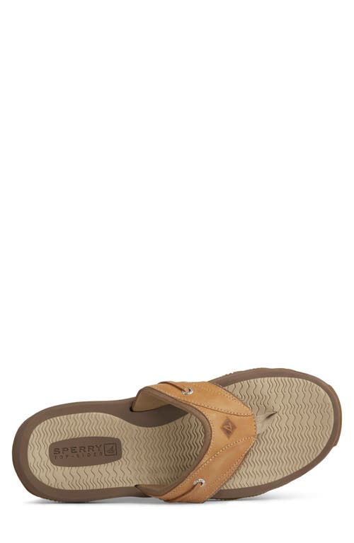 Sperry Outer Banks Flip Flop In Tan