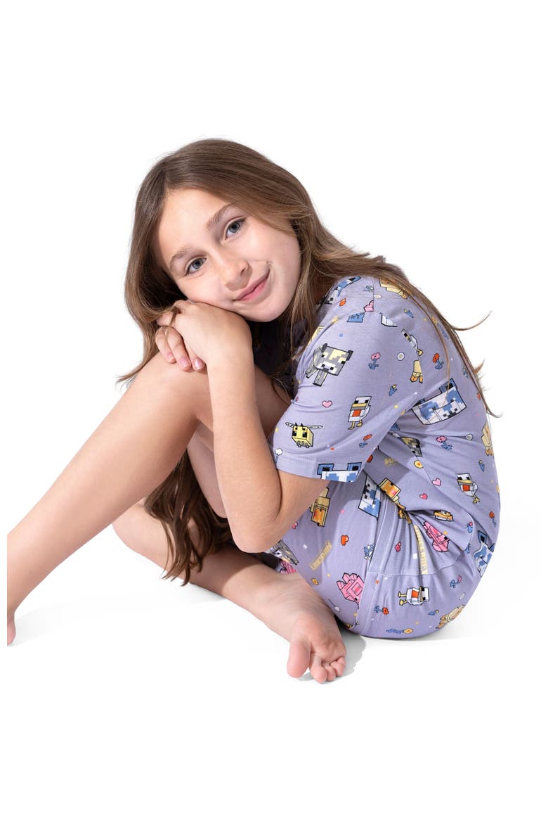 Minecraft Pixel Pals Kids 2-Piece Short Sleeve & Shorts Pajama Set, Alternate, color, Minecraft Pixel Pals