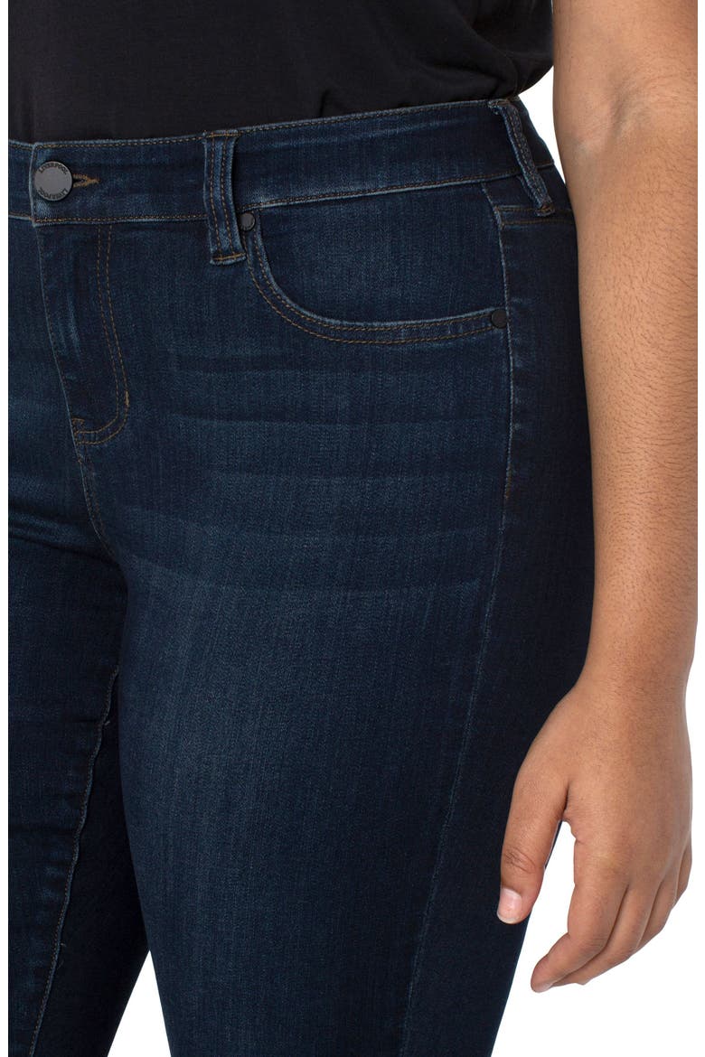 Abby Stretch Ankle Skinny Jeans, Alternate, color, DYNASTY DA