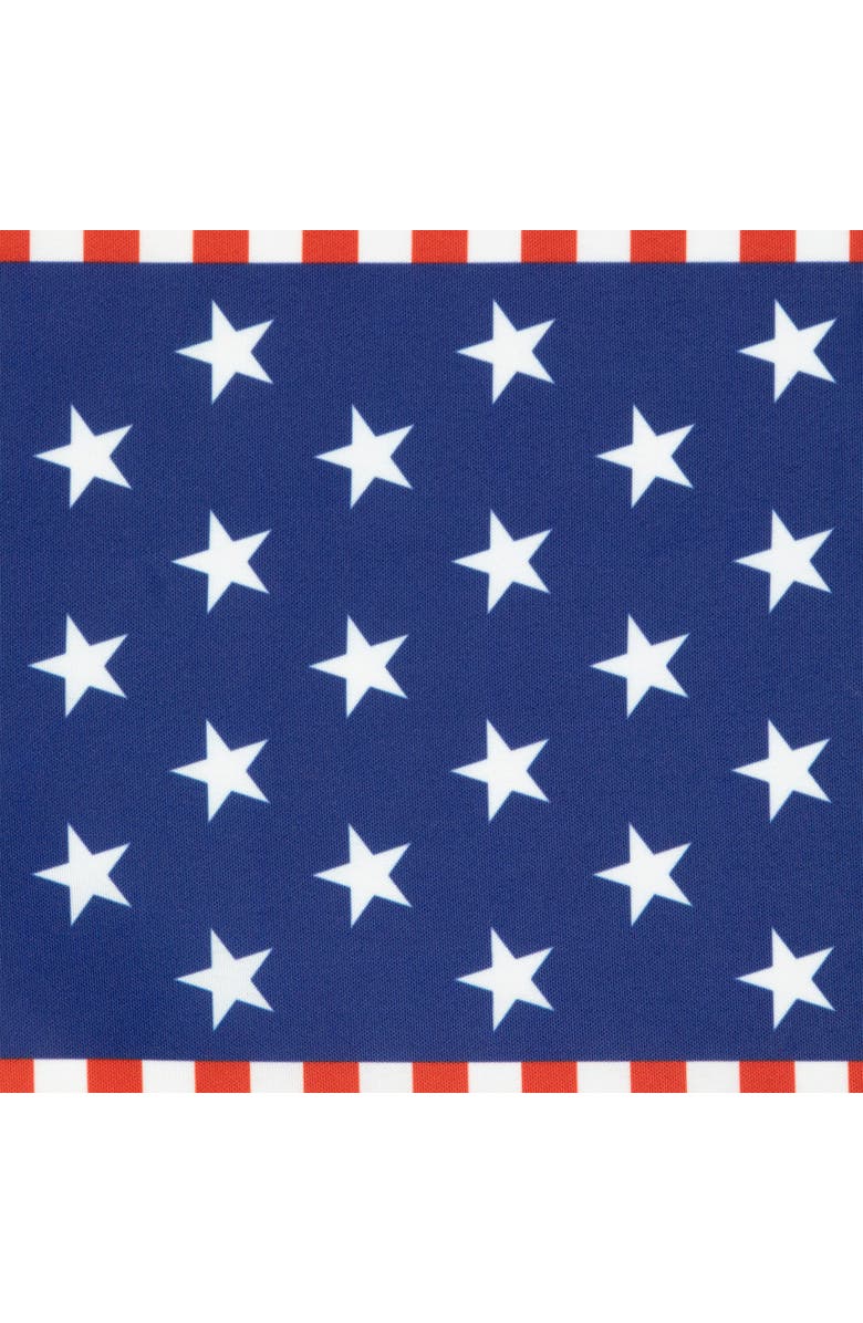 Northlight Set of 4 Stars and Stripes Americana Printed Placemats 18", Alternate, color, Blue