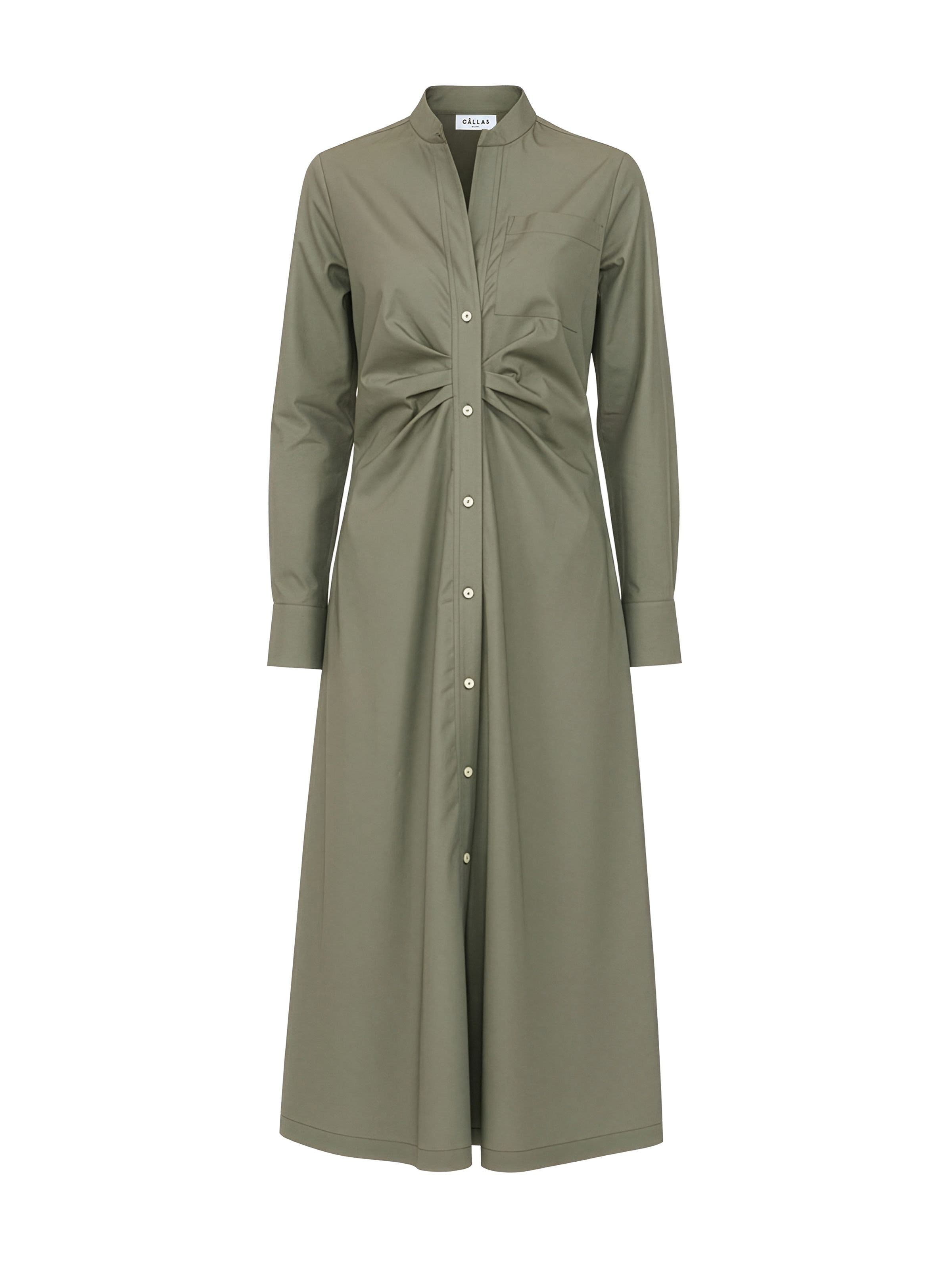selected Olive
