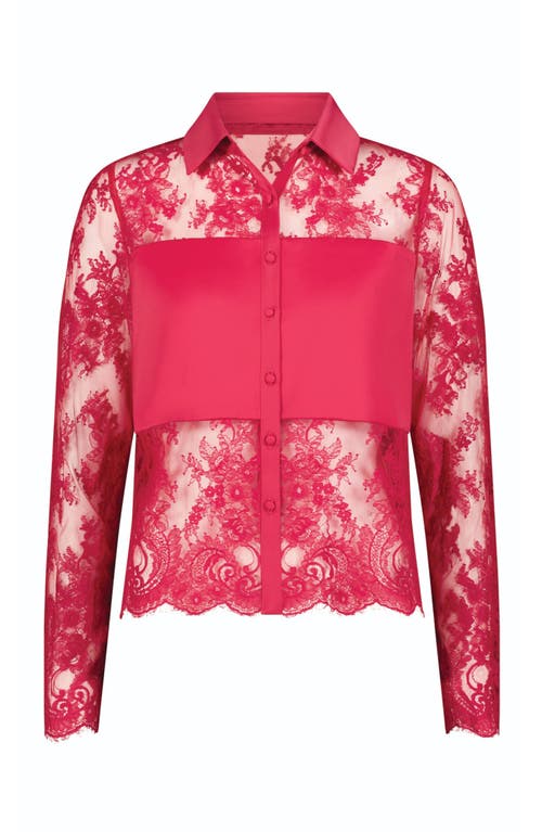 The Noli Shop Vienna Lace Blouse In Pink