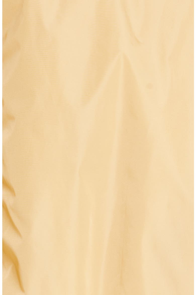 Dastyni Recycled Nylon Jacket, Alternate, color, HONEY
